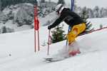 IMG_0729_edited-1.jpg