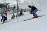 IMG_0768_edited-1.jpg