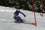 IMG_0815_edited-1.jpg